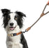 Mile High Life Short Dog Leash | Braided Cotton Rope Dog Leashes with Leather Tailor Tip | 18 Inch Dog Leash w Heavy Duty Metal Clasp | Wedding Do...