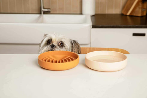 The Perfect Dish - Durable Dog Water Bowl - No Spill - Less Mess Non-Tippable Water & Food Bowl, Pure Silicone, Spill Proof with Suction Cup, Suit...