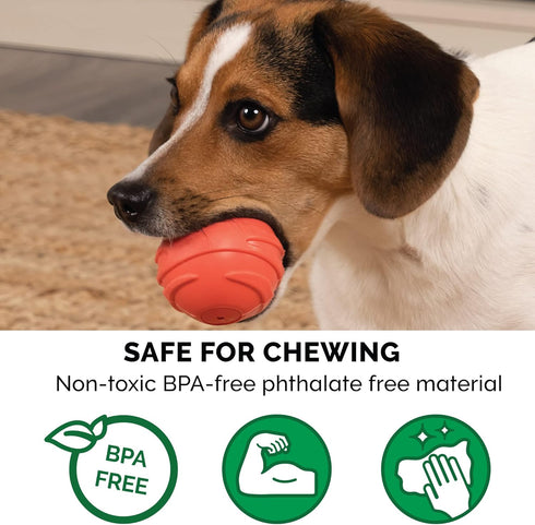 Furhaven 3-Pack 2.5" Squeaky Ball Dog Toys for Small/Medium Dogs, Fits Most Standard Launchers - Fetch 'N Fun TPR Squeaky Ball Toy Set - Sea Pack,...