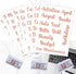 80 Cash Envelope Labels Stickers, Gold Budget Binder Label Stickers, Budgeting Planner Letter Stickers for Cash Envelopes & A6 Binder, Money Organ...