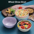 Set of 5 Unbreakable Lightweight Rice Bowl, Premium Wheat Straw Cereal Bowl, Bowl mouth 5.3Inch Soup Bowls, for Cereal, Soup and Fruit, Salad, Noo...
