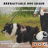 HCY&WLD Retractable Dog Leash with Anti-Slip Handle, 10 ft Durable Pet Walking Leash for Small Dogs/Cats/Small Animals up to 26 lbs, 360° Tangle F...