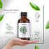 HBNO® California Bottled Tea Tree Oil for Skin 4 fl oz (120ml) - Natural Tea Tree Oil for Hair - Steam Distilled Tea Tree Essential Oil for Aromat...