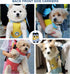 Dog Backpack Carrier Puppy Backpack Carrier for Small Dogs Cats Hands-Free Safety pet Front Carrier Suitable for Small Animal Breeds 5-10 lbs for ...