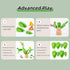 Montessori Toys Balancing Cactus Toy Fun Educational Activities for Toddlers 3+ Montessori Stacking Puzzles Portable Toy Letter Puzzle Toys Fine M...