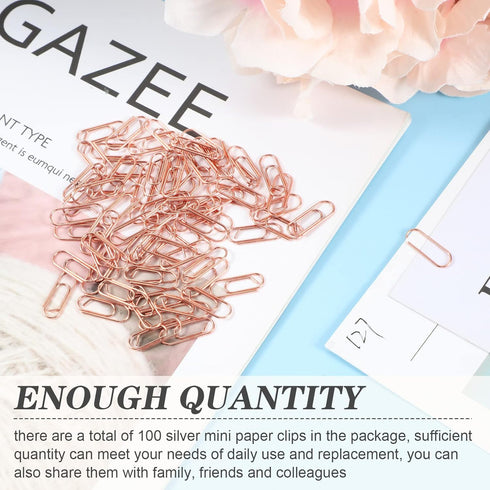 100 Pieces Metal Mini Paper Clips 3/5 Inch Finish Steel Paper Clip Metal Journaling Paper Clamps Office Paperclip for Paper Document Sorting and O...