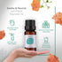 HBNO Myrrh Essential Oil - 1/3 oz (10 ml) Travel Size - Natural Myrrh Oil, Steam Distilled - Perfect for Cleaning, Aromatherapy, DIY, Soap & Diffu...