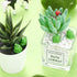 50pcs Mini Frog Garden Decor, Resin Mini Frogs Figurines, Tiny Plastic Frogs, Cute Green Frog Miniature Figurines Garden Home Decor, Fairy Garden ...