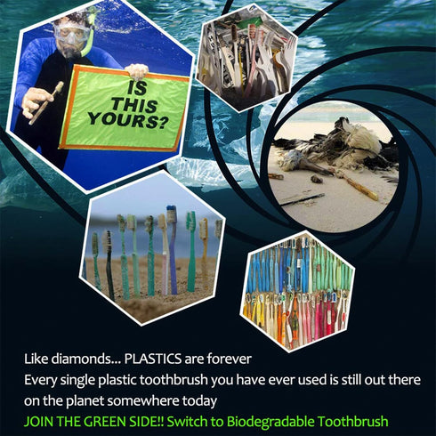 Biodegradable Bamboo Toothbrushes, 10 Piece BPA Free Soft Bristles Toothbrushes, Natural, Eco-Friendly, Green and Compostable...