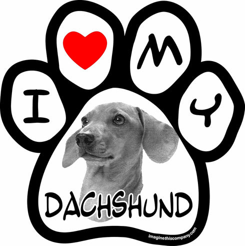 Imagine This Company Dog Picture Paw Shaped Pet Magnet; Removable Magnets for Cars, Fridges, Lockers & More, Stylish Pet Inspired Car Accessories,...