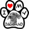 Imagine This Company Dog Picture Paw Shaped Pet Magnet; Removable Magnets for Cars, Fridges, Lockers & More, Stylish Pet Inspired Car Accessories,...