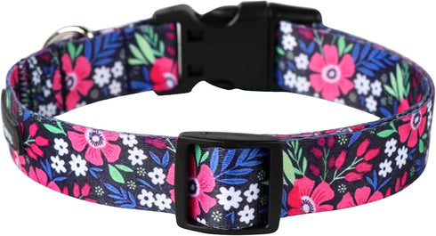 Maca Bates Designer Flower Cute Dog Collar Spring Collars for Girl and Boy Female Male para Perros Chihuahua Pitbull Birthday Gift for Small Mediu...