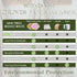 Paperless Towels Roll Washable Cotton Cloth, Reusable Paper Towels - 25 Pack with Durable Cardboard Roll - 10" X 10" Zero Waste Reusable Napkins E...