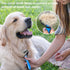 Dog Brush for Shedding,Deshedding Dog Brush of Double Sided,Dog Brushes for Grooming,Dog Shedding Brush for German Shepherd,Dog Comb,Equigroomer f...