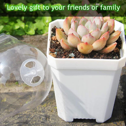 10 Pcs White Plant Nursery Pots with Clear Humidity Dome- 4 inch Plastic Gardening Pot Plant Container- Seed Starting Pot with Drain Holes for See...
