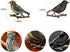 Alilang Antique Golden Clear Crystal Colored Rhinestones Multi Bird Sparrow Brooch Pin...