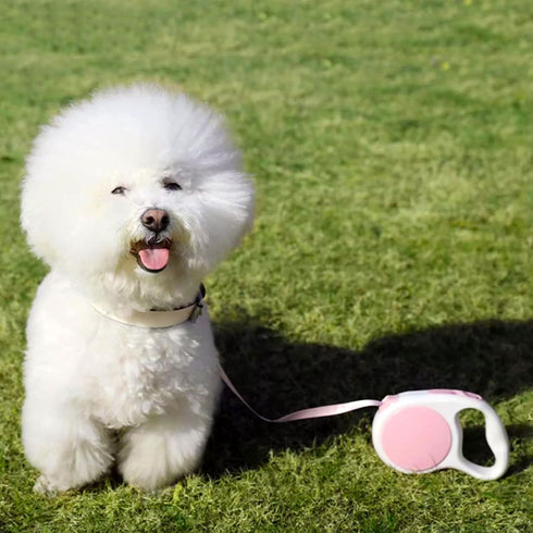 Pink Retractable Dog Leash 10 ft for Small and Medium Dogs and Cats, One Button Brake, Pause, Lock by LFCXHTY...