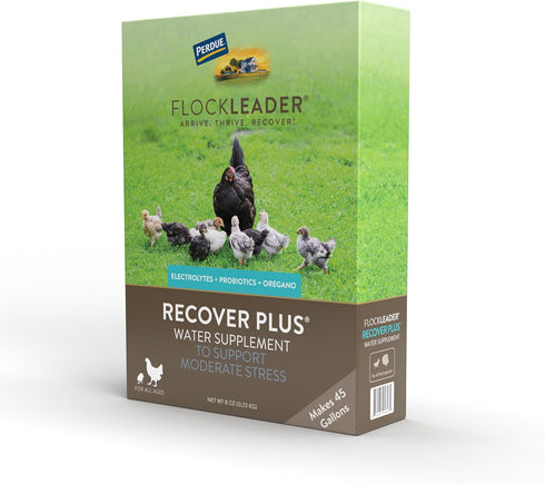 Recover Plus Moderate Stress Probiotic Water Supplement for Chickens with Electrolytes & Oregano, 8 oz...