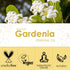 Gardenia Essential Oil 4 Fl Oz (120ml) - Pure and Natural Fragrance Oil, Gardenia Oil for Aromatherapy, Diffusers, Candle Making, Massage, Soap, P...