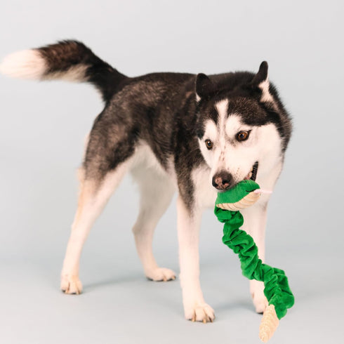 Fringe Studio Plush Dog Toy, Hisses & Kisses, Pet Shop Collection (314206)...