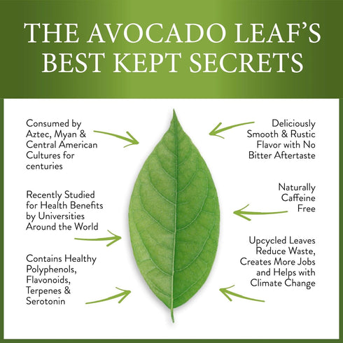 Avocado Leaf Tea Peach Tea – Caffeine-free | Herbal Tea | Immune Support | Cold Brew or Hot Tea | 15 Tea Bags -30 Servings (Gluten Free, Non-GMO)...