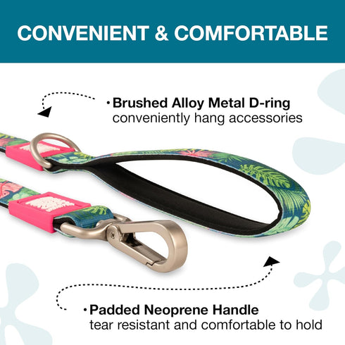 Max & Molly Classic 4 ft Dog Leash - Strong, Padded, Waterproof - Stylish Patterns for Boy & Girl Dogs - Durable, Lightweight, Comfortable for Sma...
