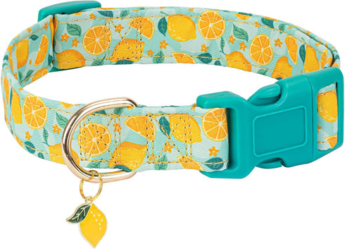 Cute Dog Collar Adjustable and Lightweight for Girl Female Boy Dogs,Soft and Fancy Summer Dog Collar with Lemon Special Design Pet Collar for Smal...