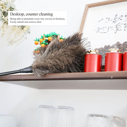 Ostrich Feather Duster 15 Inch Household Handheld Feather Dusters for Cleaning Window Blind Duster(3PCS)...