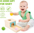 Adena Montessori Object Permanence Box with Tray Three Balls Montessori Toys for 6-12 Months Baby 1 Year Old Infant Toddler (Small Box - for Boy)...