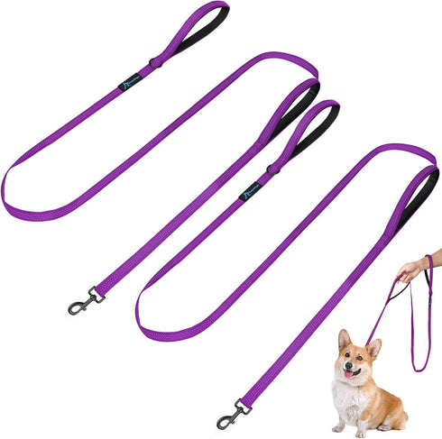 PuppyDoggy 2 Pack Dog Leash for Small to Medium Dogs 6 ft with 3 Reflective Stitching and 2 Traffic Padded Handles Dog Lead Rope Pet Leash for Run...