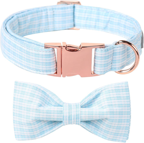 Lionet Paws Dog Collar, Blue Stripe Pattern Pet Collar Durable Cute Dog Collars Male or Female Pet Gift Adjustable Dog Collar for X-Small Dogs...