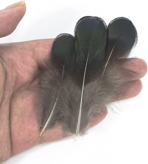 MAHAVIMOKSA 100pcs Natural Feather for DIY Craft Earring Wings Wedding Party Home Decoration (Green Lady Amherst Bronze Iridescent Plumage)...