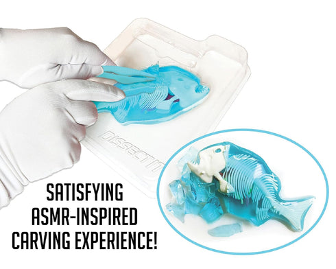 Dissect-It Simulated Synthetic Lab Dissection Toy, STEM Projects for Kids Ages 6+, Animal Science, Biology, Anatomy Home Learning Kit, Great for Y...