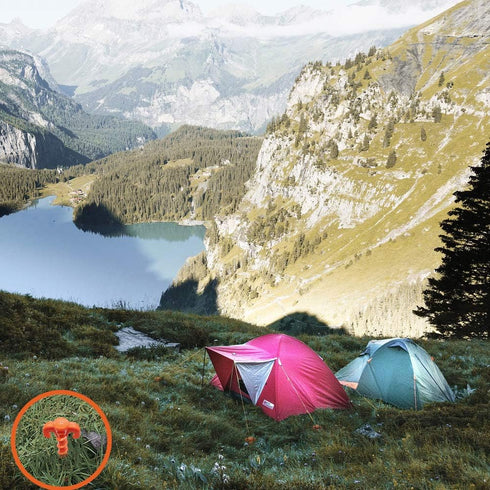 Canopy Stakes Canopy Anchors Beach Tent Stakes Heavy Duty Screw Shape 25 cm 10 inch - 8 Pack Orange Tent Stake for Outdoor Hiking Camping...