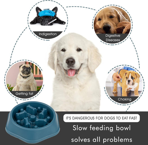 2 Packs Slow Feeder Dog Bowl, Puzzle Dog Food Bowl Anti-Gulping Interactive Dog Bowl for Small/Medium Sized Dogs (Blue&Green)...