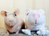 8 Inch Hairless Guinea Pig Stuffed Animal with Small Mesh Laundry Bag (Noodle The Skinny Pig)...