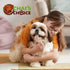 Chai's Choice Dog Collar Small (Red) | Comfortable & Stylish Pet Collar with Adjustable Strap Soft Padded | No-Choke & Quick Release | 3M Reflecti...