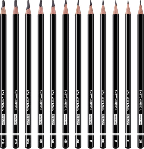PANDAFLY Professional Drawing Sketching Pencil Set - 12 Pieces Graphite Pencils(14B - 2H), Ideal for Drawing Art, Sketching, Shading, Artist Penci...