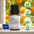 HIQILI Sweet Orange Essential Oil,100% Pure Natural for Diffuser, Aromatherapy-10ml...