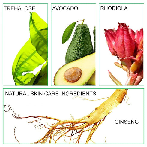 Mushroom Head Air Cushion CC Cream Foundation BB Cream Foundation Makeup Moisturizing CC Cream Liquid Foundation with Makeup Primer Concealer Last...