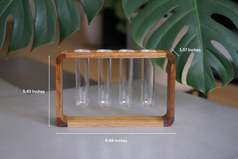 Source & Plot - Plant Propagation Station - Acacia Wood Stand 4 Glass Test Tube Hydroponic Tabletop Rooting Terrarium Planter Rack Home and Office...