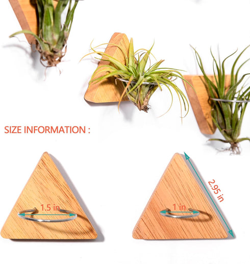 MITIME Air Plants Holders-Real Wood Live Air Plant Holders.Rustic Air Plant Stand,Wall-mounted to save space.(Plants not included)( Triangle Set o...