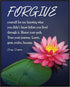 Posterizer 1 pcs-Forgive Yourself for not knowing-Creig Crippen-Spiritual-Quotes-Motivational & Inspirational Art-Gift For Buddhism Meditation phi...
