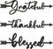 Yookeer 3 Pcs Thankful Grateful Blessed Letter Sign Wood Cutout Sculptures Arrow Signs Wall Decor Black Letters Rustic Wall Art for Home Bathroom ...
