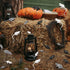 33 PCS Halloween Fake Mouse Toys, Realistic Plastic Mouse Figurines Simulated Big and Small Mouse Models for Halloween Party Decorations Joke Tric...
