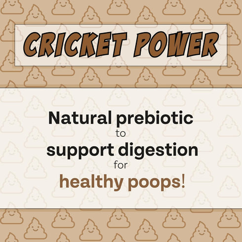 Peanut Butter, Cricket, Pumpkin Gut Health Dog Treats (5oz, 2-Pack) | Limited Ingredients, Hypoallergenic, Natural Prebiotic | Pet Superfood Train...