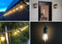 BRIMAX 6 Pack 2W LED Light Bulbs, Plastic LED Filament Bulb, 2700K Warm White, Equivalent to 11w/20w/25w, E26 Medium Base, S14 Edison Light Bulbs ...