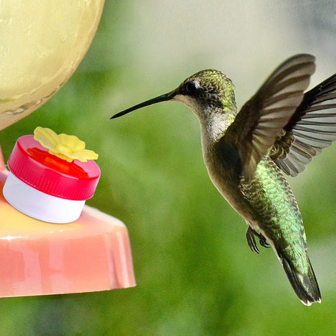 SAVITA Hand Feeding Hummingbirds, 4pcs Hummingbird Hand Feeder Mini Flower Hummingbird Feeder with 4pcs Cleaning Brushes for Outdoor...