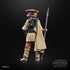 STAR WARS The Black Series Archive Princess Leia Organa (Boushh) Toy 6-Inch-Scale Return of The Jedi Collectible Action Figure...