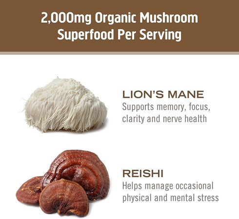 OM Mushroom Superfood Brain Fuel Mushroom Powder Capsules Superfood Supplement, 90 Count, 30 Days, Lion's Mane, Reishi Blend plus Folate, Mental C...
